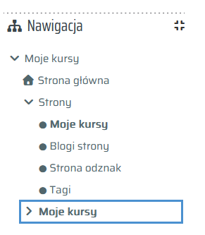 Widok sekcji „Moje kursy”  – lista dostępnych kursów.