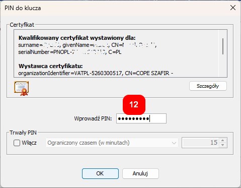 Okienko wpisywania pinu